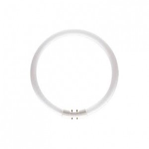 MASTER TL5 Circular MASTER TL5 Circular